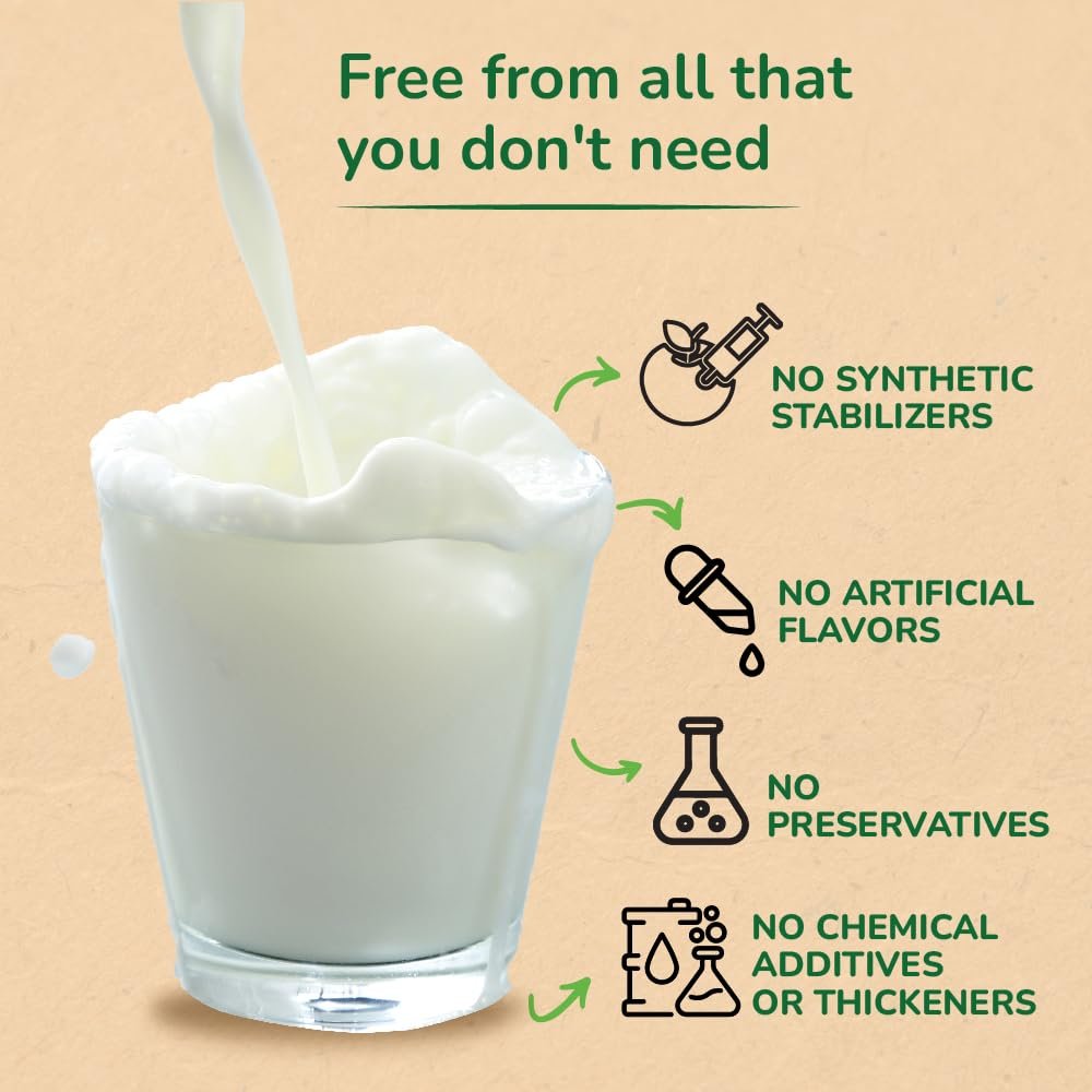 Akshayakalpa Organic Buttermilk Plain - Pack of 16 (200ml) - Image 5