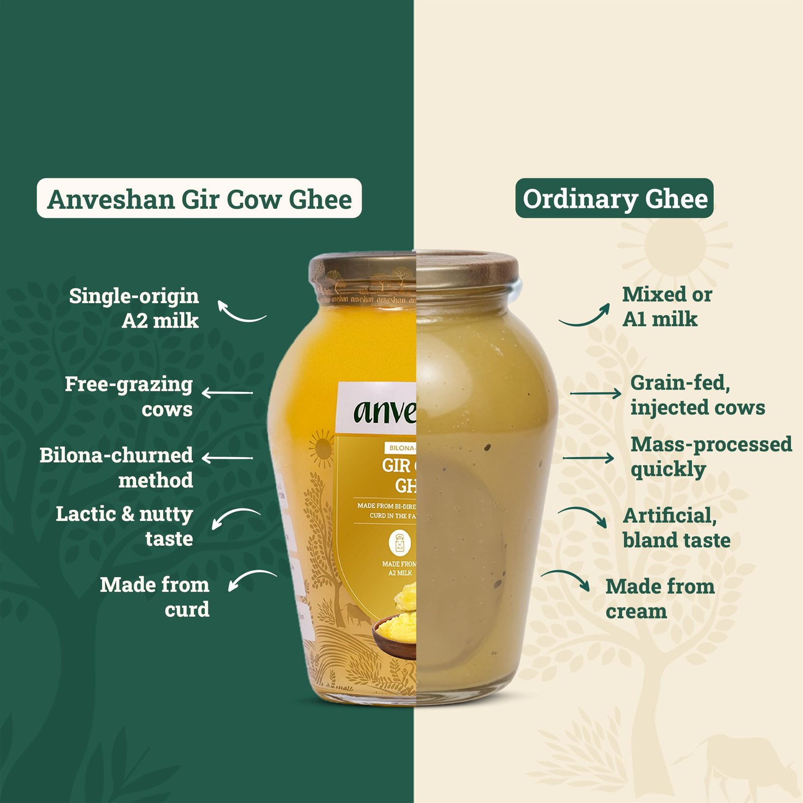Anveshan A2 Gir Cow Ghee Bilona Method 1Liter, Traditional Bilona Method, Cultured, Immunity Booster, Pure, Natural, Healthy, Fresh, Lactose And Gluten Free - Image 4