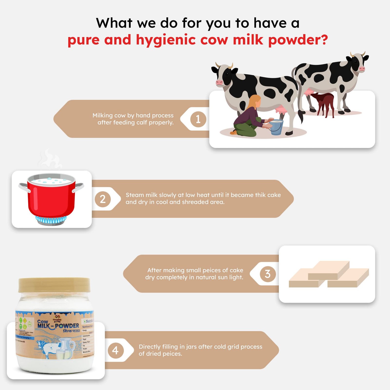 Growing Villagers A2 Desi Cow Milk Powder | Whole Milk Cream Organic Grass Fed A2 Cow Milk Powder | Multipurpose Use | No Additives No Preservatives | 150 Grams - Image 4