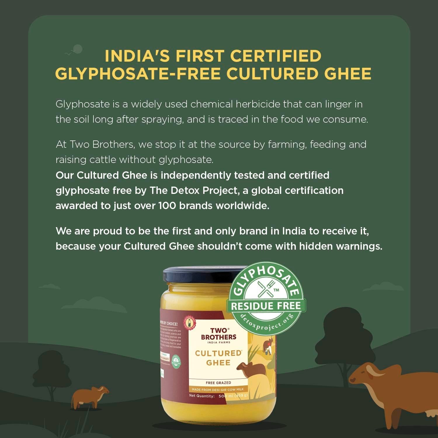 Two Brothers Pure Desi Gir Cow Cultured Ghee 500 ml | Free-grazed Desi Gir Cows | Bilona Method | Farm-Made with Probiotics for Gut Health | India's only Certified Glyphosate-Free ghee - Image 4