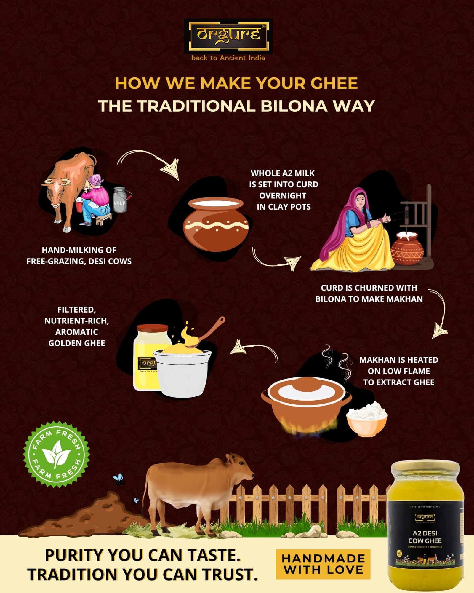 ORGURE A2 Desi Cow Ghee – Bilona Hand-Churned | Grass-Fed & Natural | No Preservatives | Non-GMO | Lab Tested | Immunity & Digestion Support | MSME Award Winner | 500ml Glass Jar - Image 6